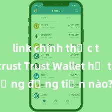 link chính thức tải ví trust Trust Wallet hỗ trợ những đồng tiền nào? Danh sách đầy đủ